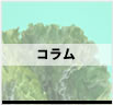 {̃yL@jyCg